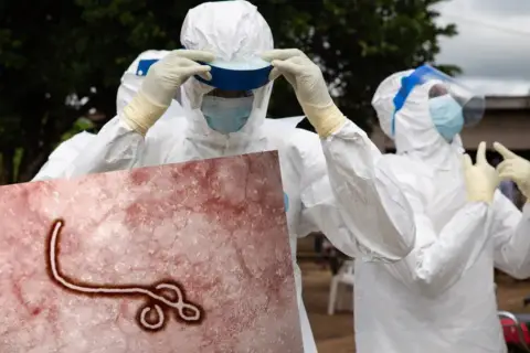 Wirus Ebola w którym roku został odkryty i co to oznacza dla nas