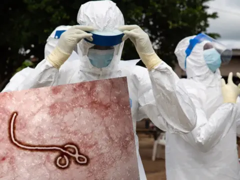 Wirus Ebola w którym roku został odkryty i co to oznacza dla nas