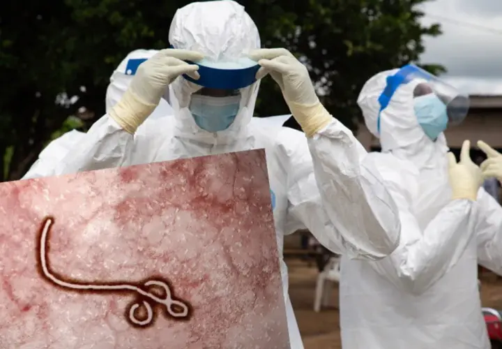 Wirus Ebola w którym roku został odkryty i co to oznacza dla nas
